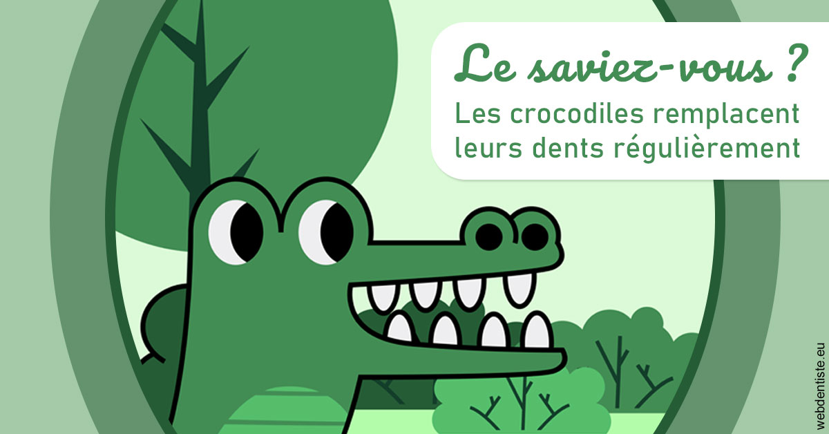 https://www.drchristianehalimi.fr/Crocodiles 2