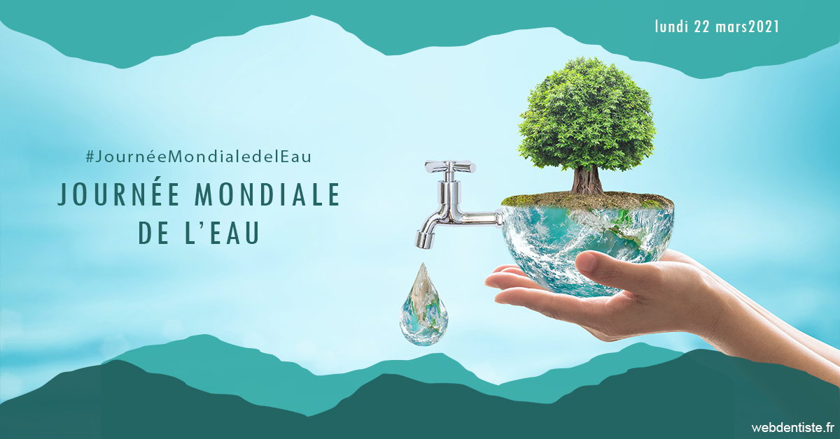 https://www.drchristianehalimi.fr/Journée de l'eau 1