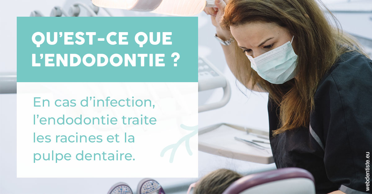 https://www.drchristianehalimi.fr/2024 T1 - Endodontie 01