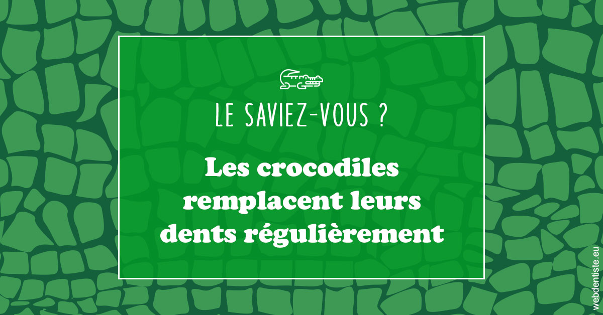 https://www.drchristianehalimi.fr/Crocodiles 1