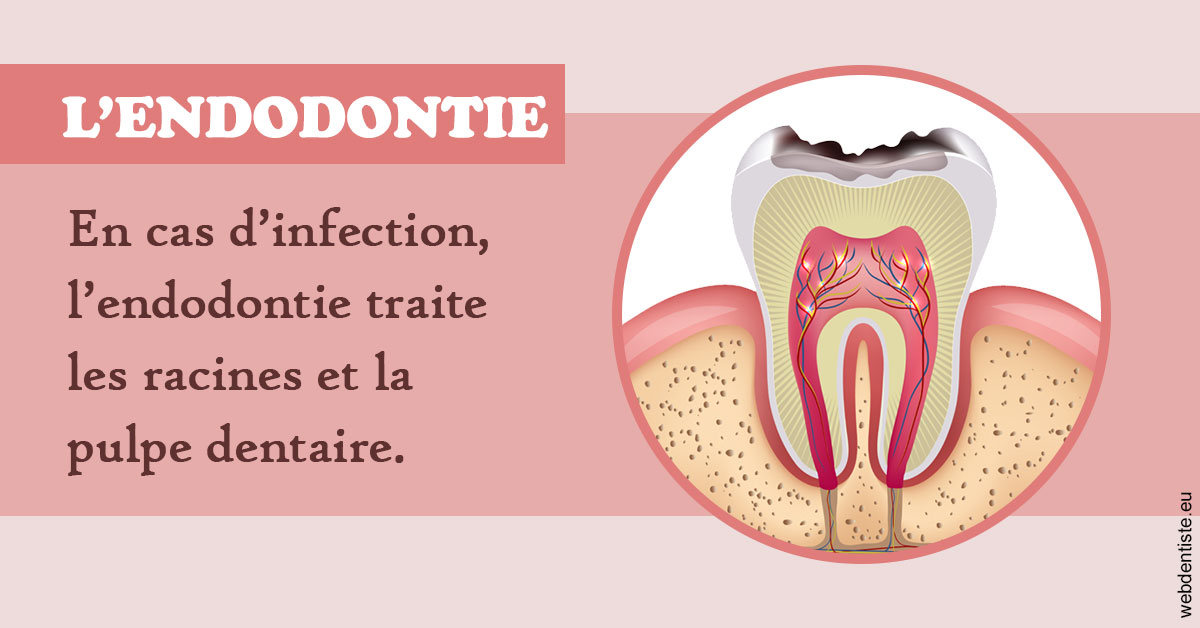 https://www.drchristianehalimi.fr/L'endodontie 2